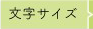 文字サイズ